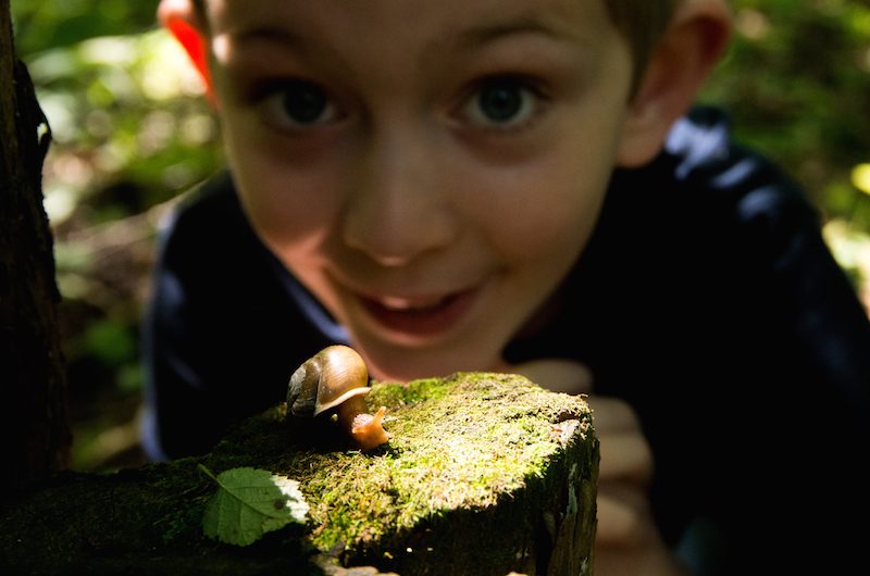 Ropes and Rock Climbing - Ewalu Camp & Retreat Center