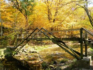 Fall photo of A-Frame Bridge