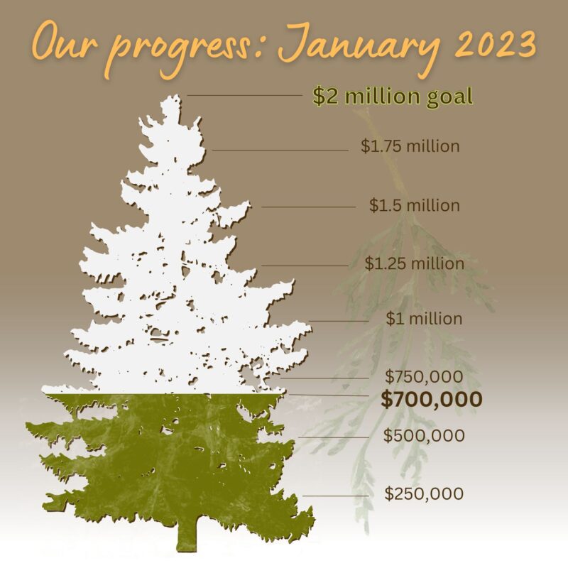 Tree shows that the campaign has reached $700,000 toward the goal of $2 million.