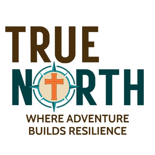 True North logo